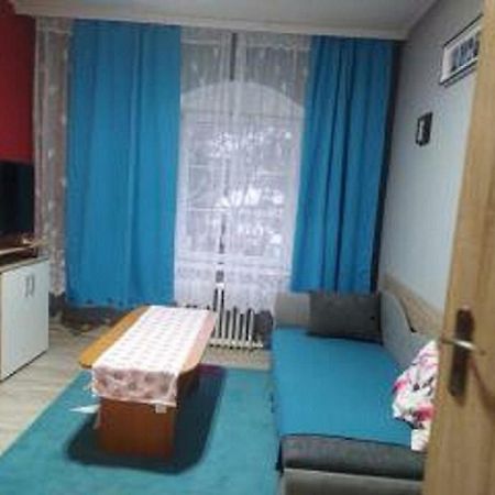 Apartman U Petru 1 Jáchymov Exteriör bild